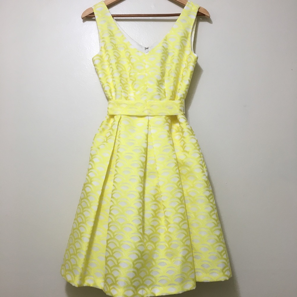 Chetta B daffodil v-neck organza waist tie dress